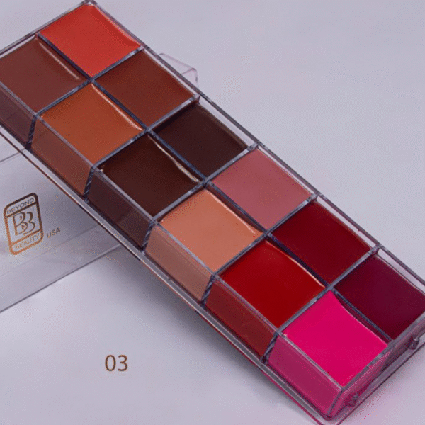 Beyond beauty 12 long lasting makeup lip palette