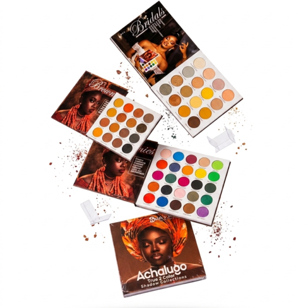 Mua's secreat professional & artistry in achalugo true 2 color shadow collection